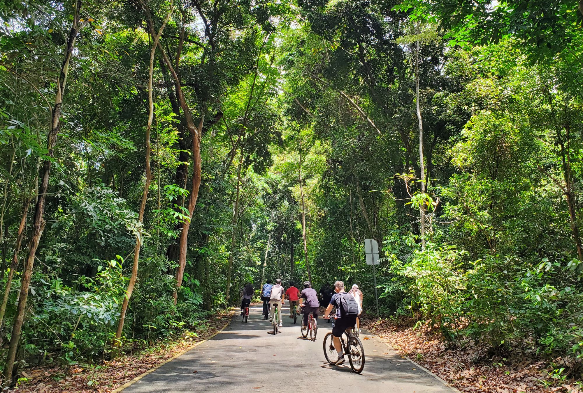 Pulau Ubin Outing