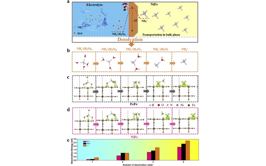 Regulation of asymmetric bimetallic NiFe sites boost fast desolvation kinetics for long-cycling ammonium-ion storage